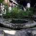 Entrando nell'edificio principale delle acciaierie spunta una vecchia vasca piena d'acqua circondata da verde spontaneo